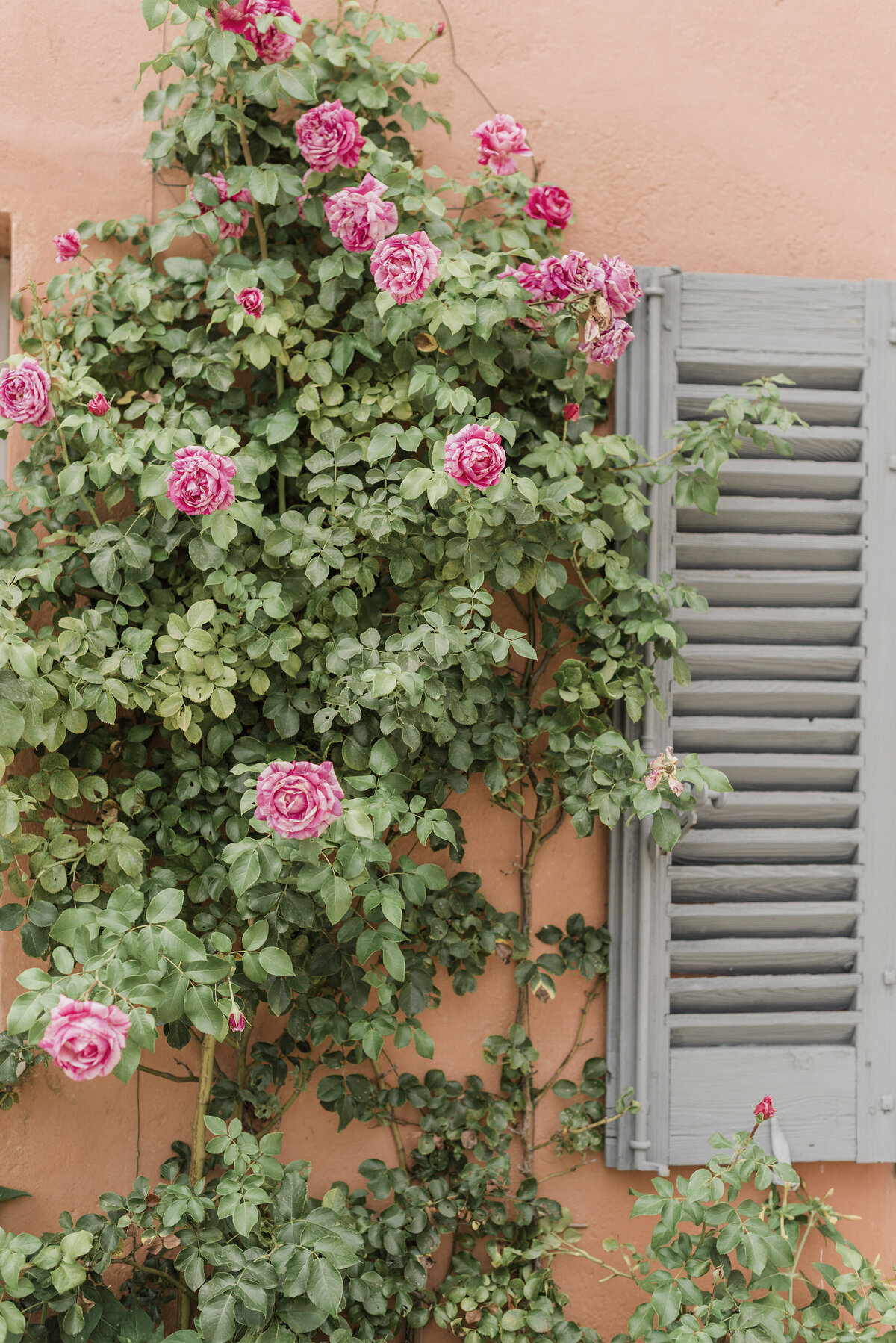 Provence wedding photographer