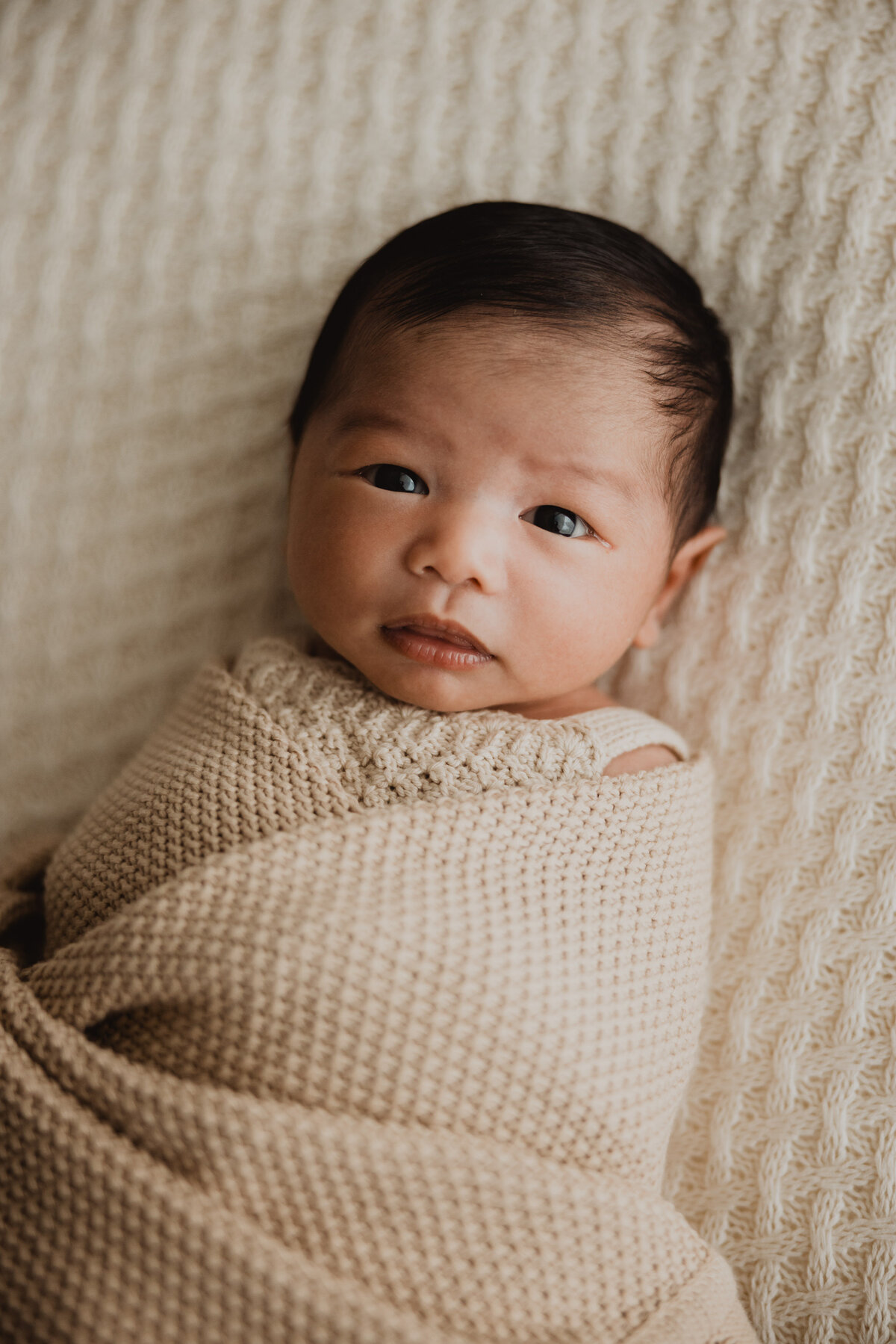 lauren-gray-sydney-newborn-photographer-230606-0042