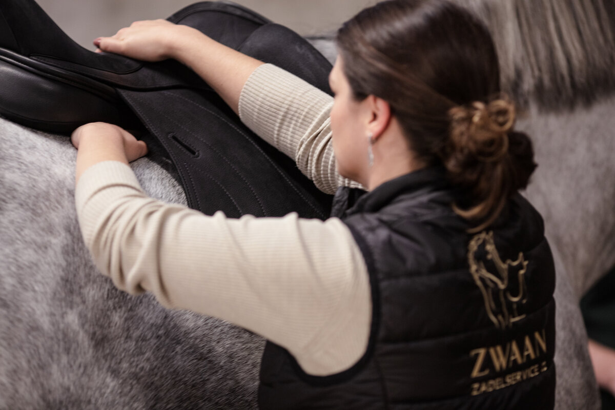 Zadelservice, zadelproblemen, zadelpasconsult, zadel, Zwaan