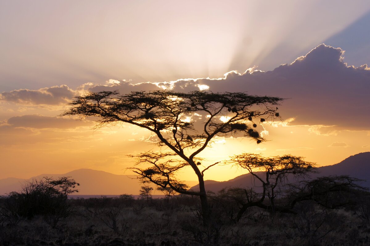 Africa_DSC05373-min