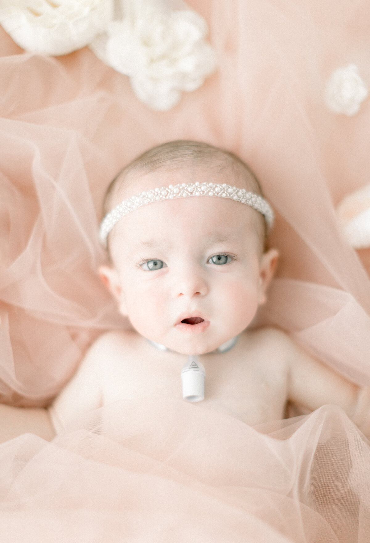 Portrait of a baby girl laying in tulle and flowers