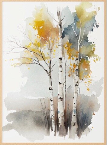 birches