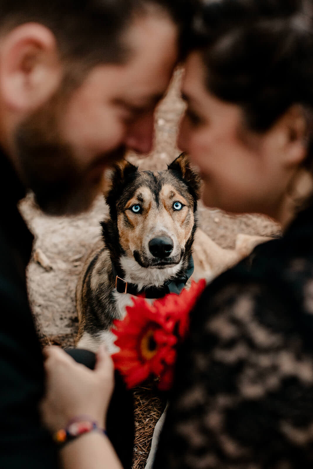 Eyeronic Love San Antonio Elopement Photographer 2022-11