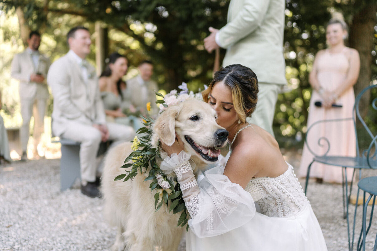 wedding-in-provence-with-dog1