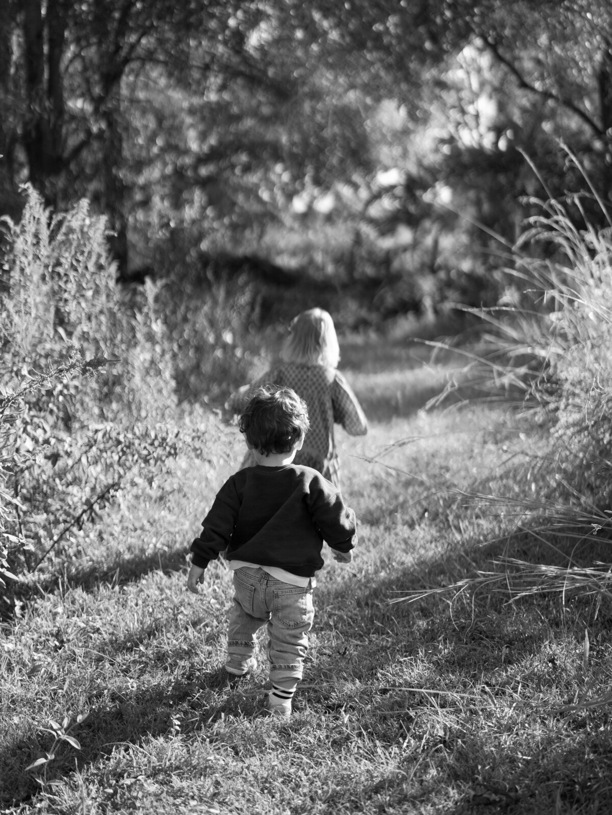 Adams-Family-Serenbe-10-13-24-78