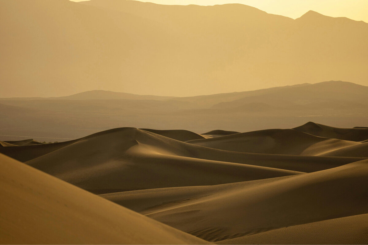 Landscape photo of a sandy desert with dunes going on for miles.