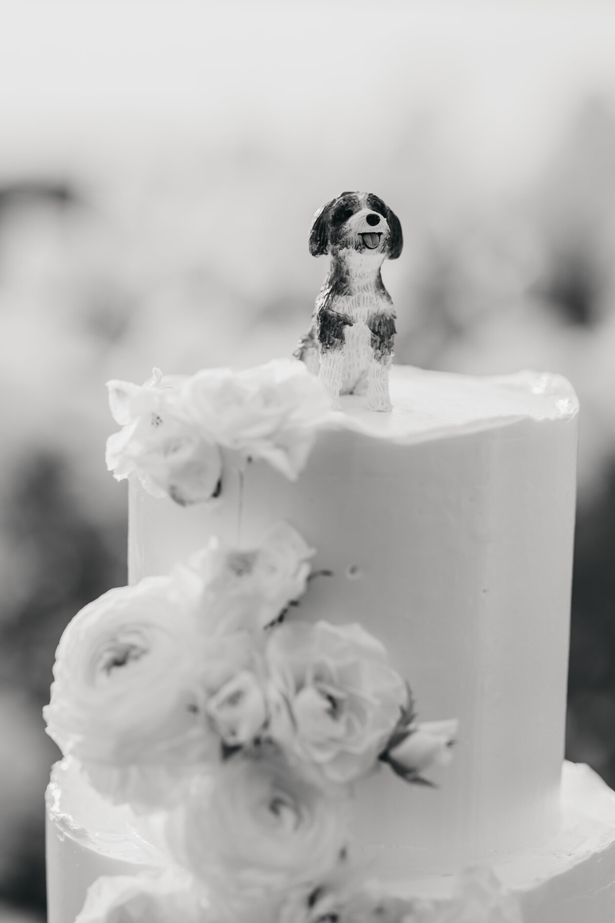 sjb-sarah-jane-bradley-photography-east-coast-wedding-photographer-244