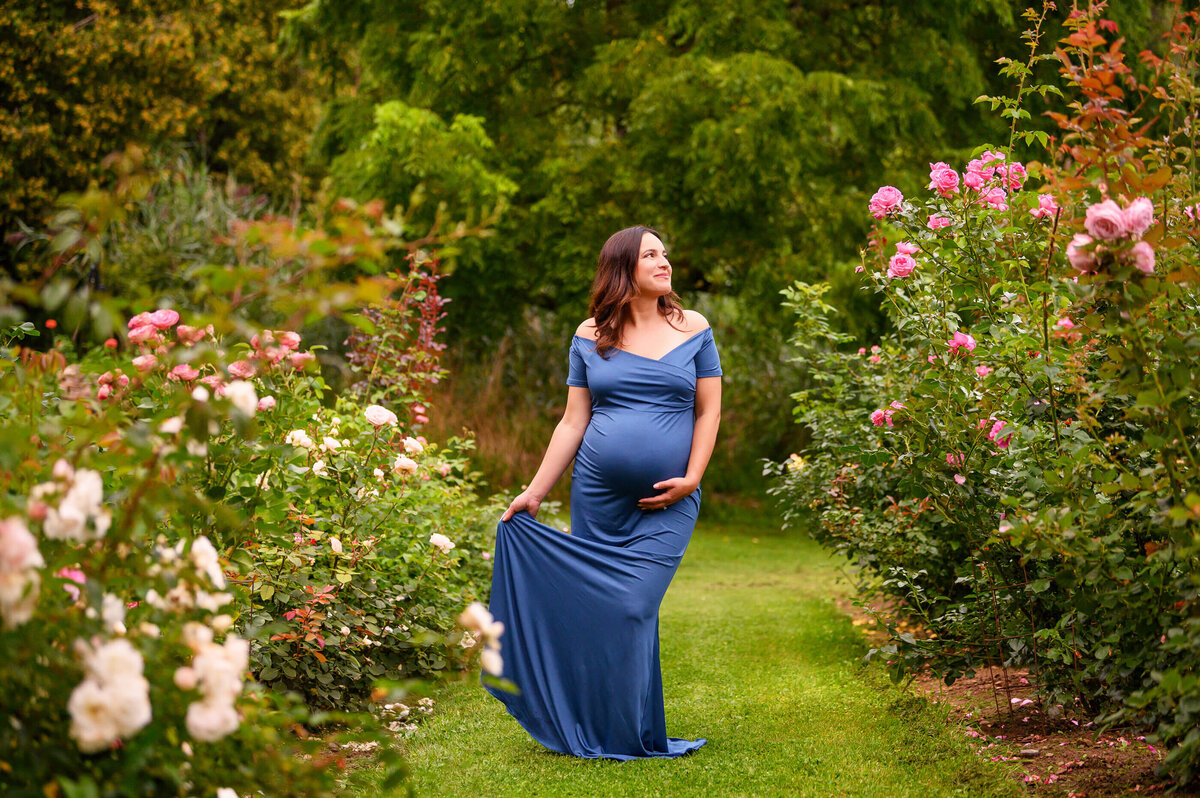 Pregnant woman wearing a blue maternity dress in a rose garden Burlington Ontario outdoor maternity photography session