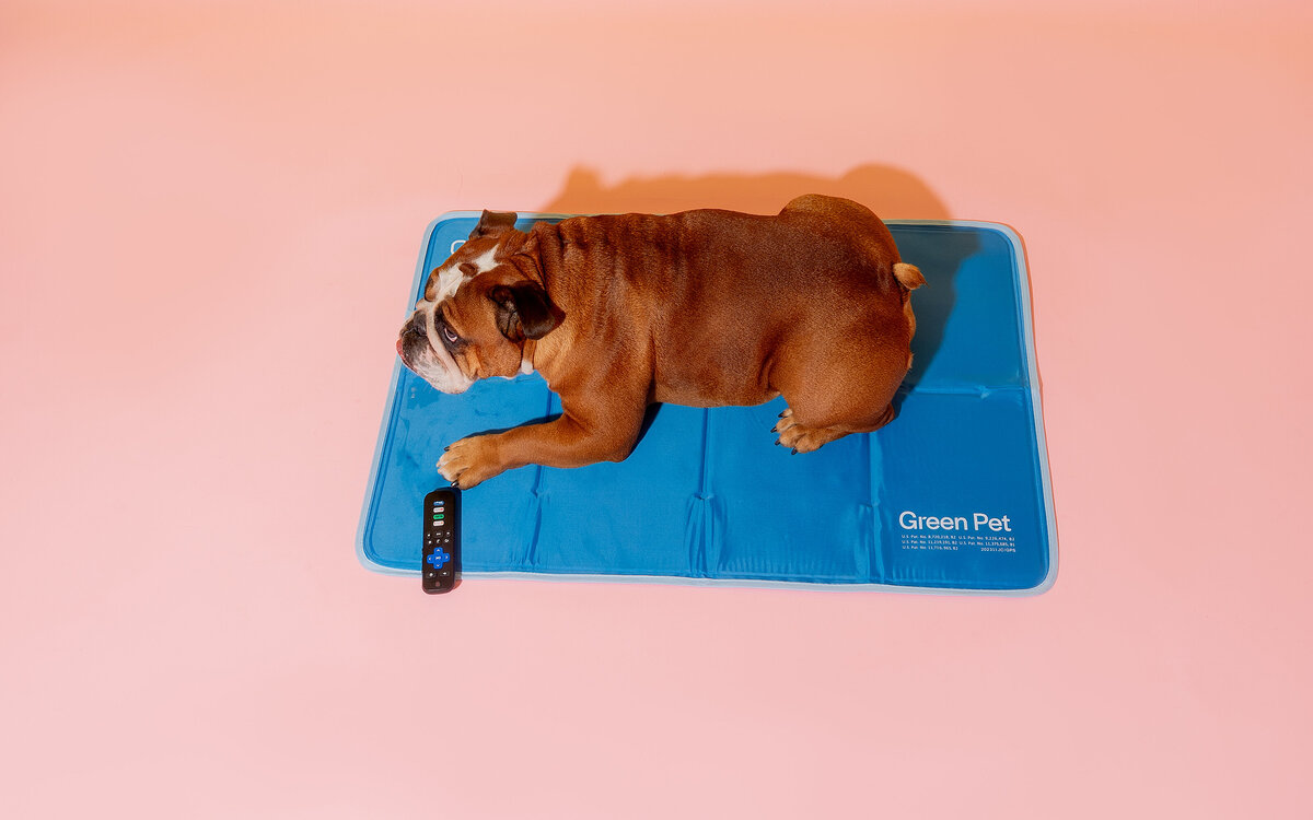 GreenPetcoolingpads_-23