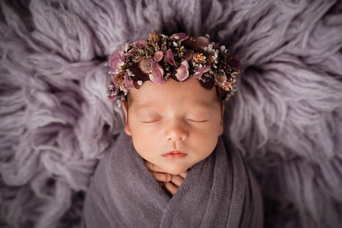 grey-bruce-owen-sound-photographer-newborn-5