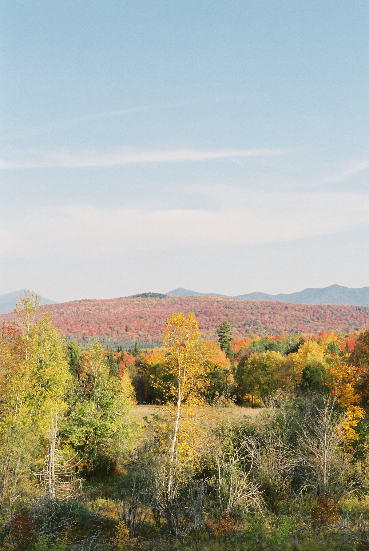 Fall_Field_Vertical_2