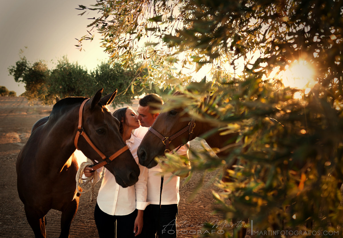 preboda con caballos en el campo