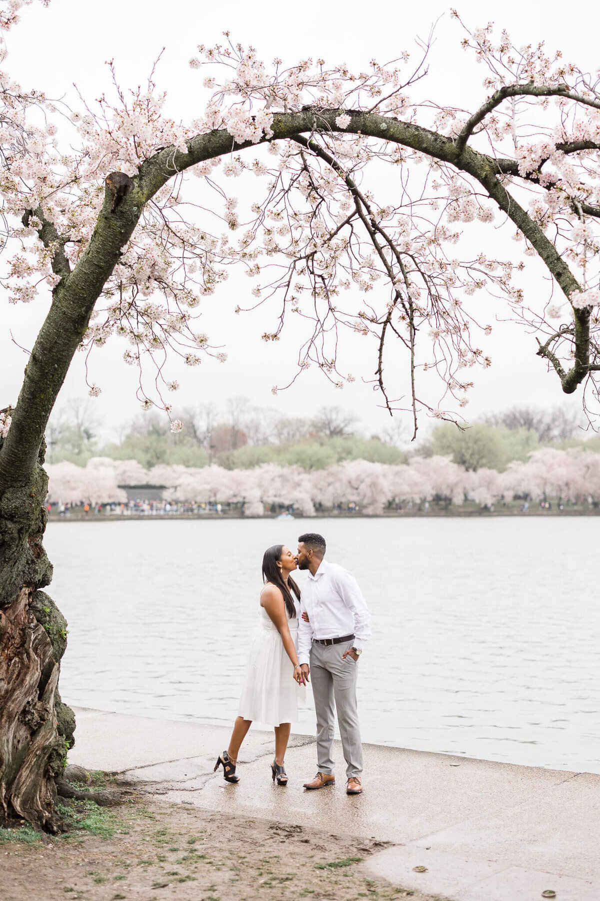 cherry-blossom-couple-photoshoot-tidal-basin-washington-monument-22