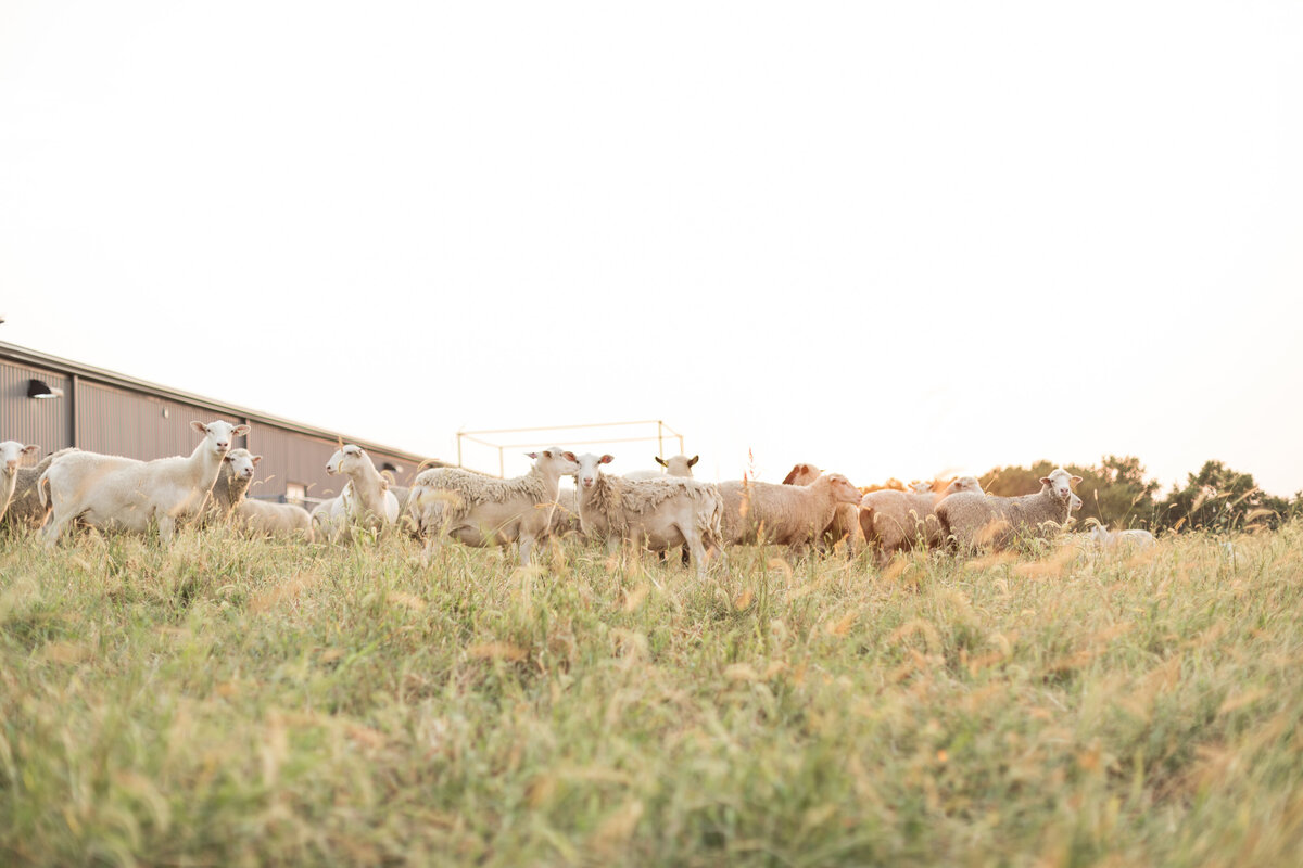 AllyLeslie_Senior_2021-8786