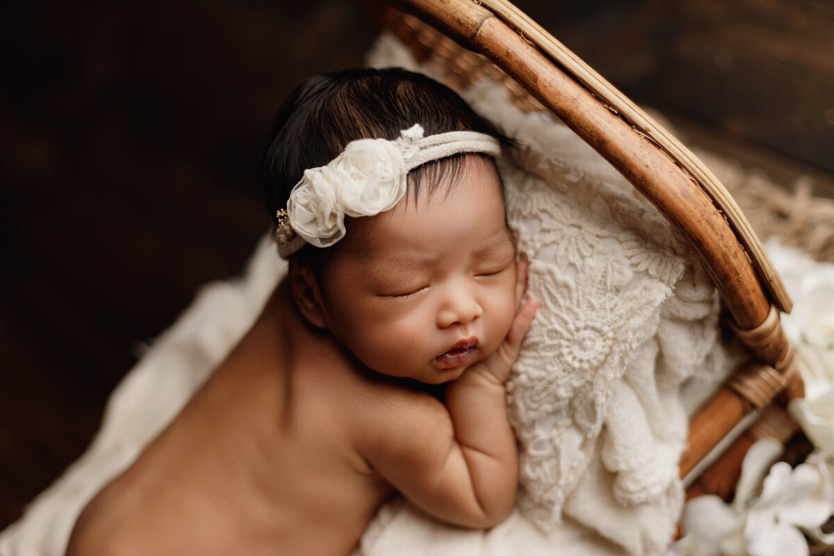 Baby Girl Newborn Photographer