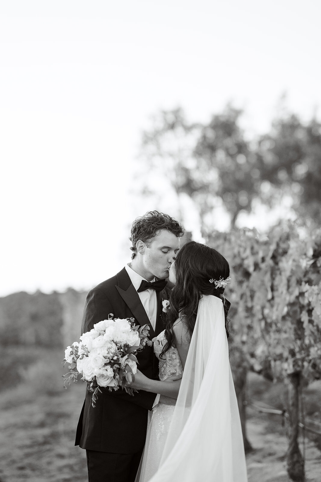 A&H Photo Co. - C&C-552