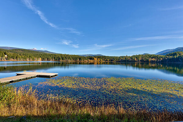 Dutch-Lake-Painted-Turtle-Restaurant-Patio-Lake-View