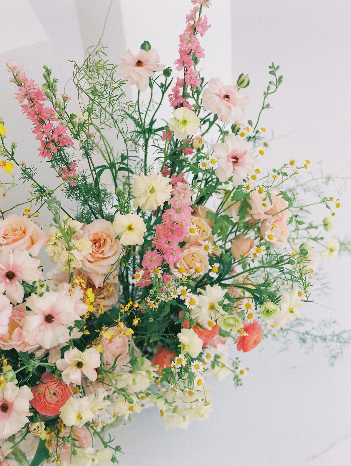 250427 Epsilon Floral_film-15