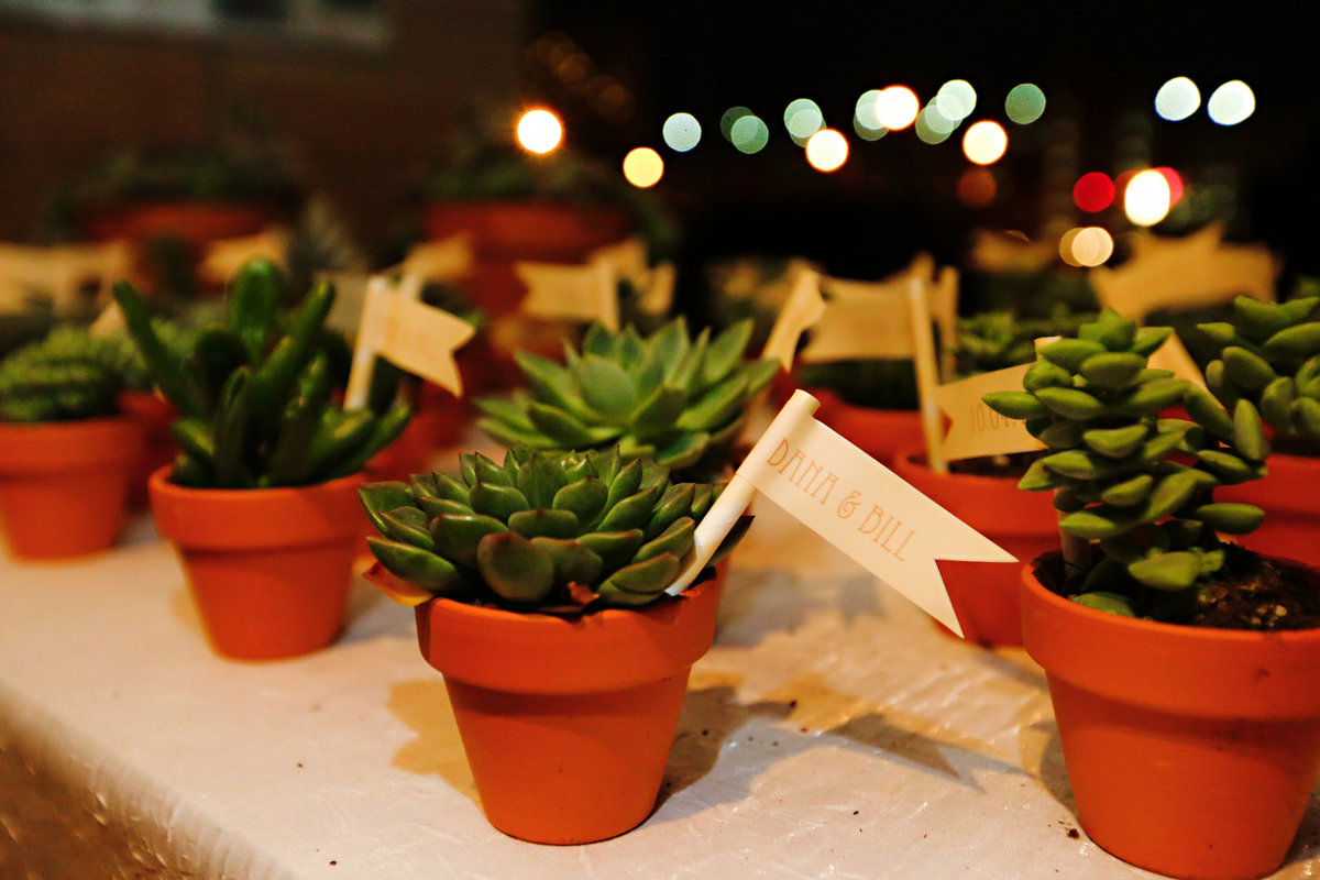 Dana & Bill - Succulent Favors