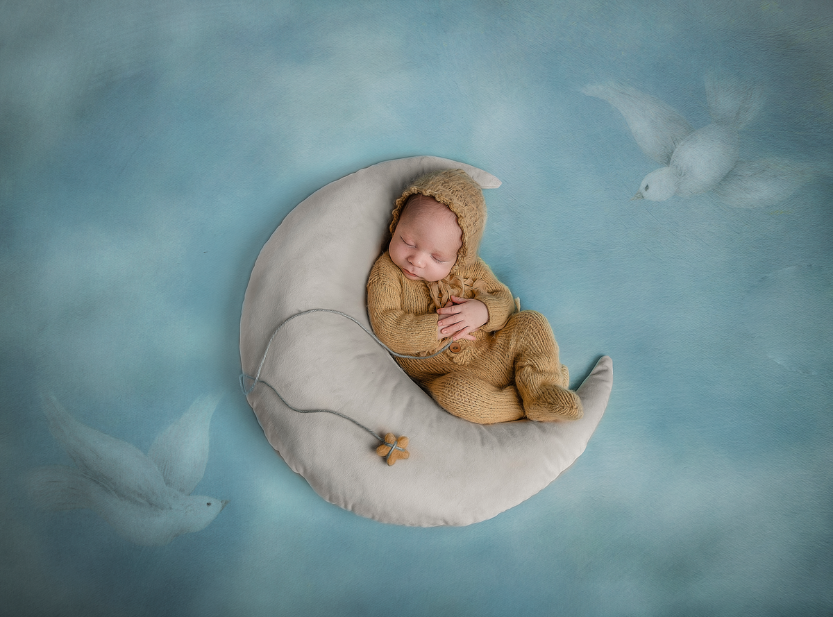 Ottawa Newborn session  in the studio with a blue and yellow cloud theme