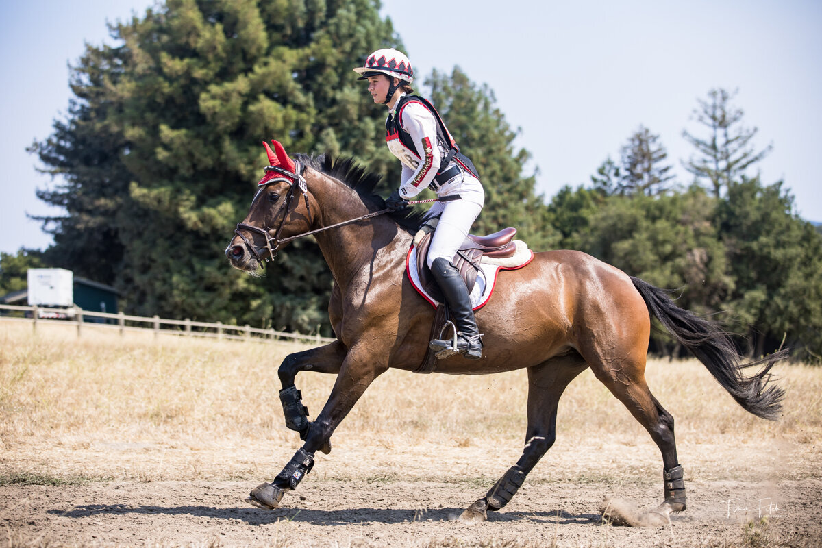 Minnie Comet DF sired by R Blue Moon