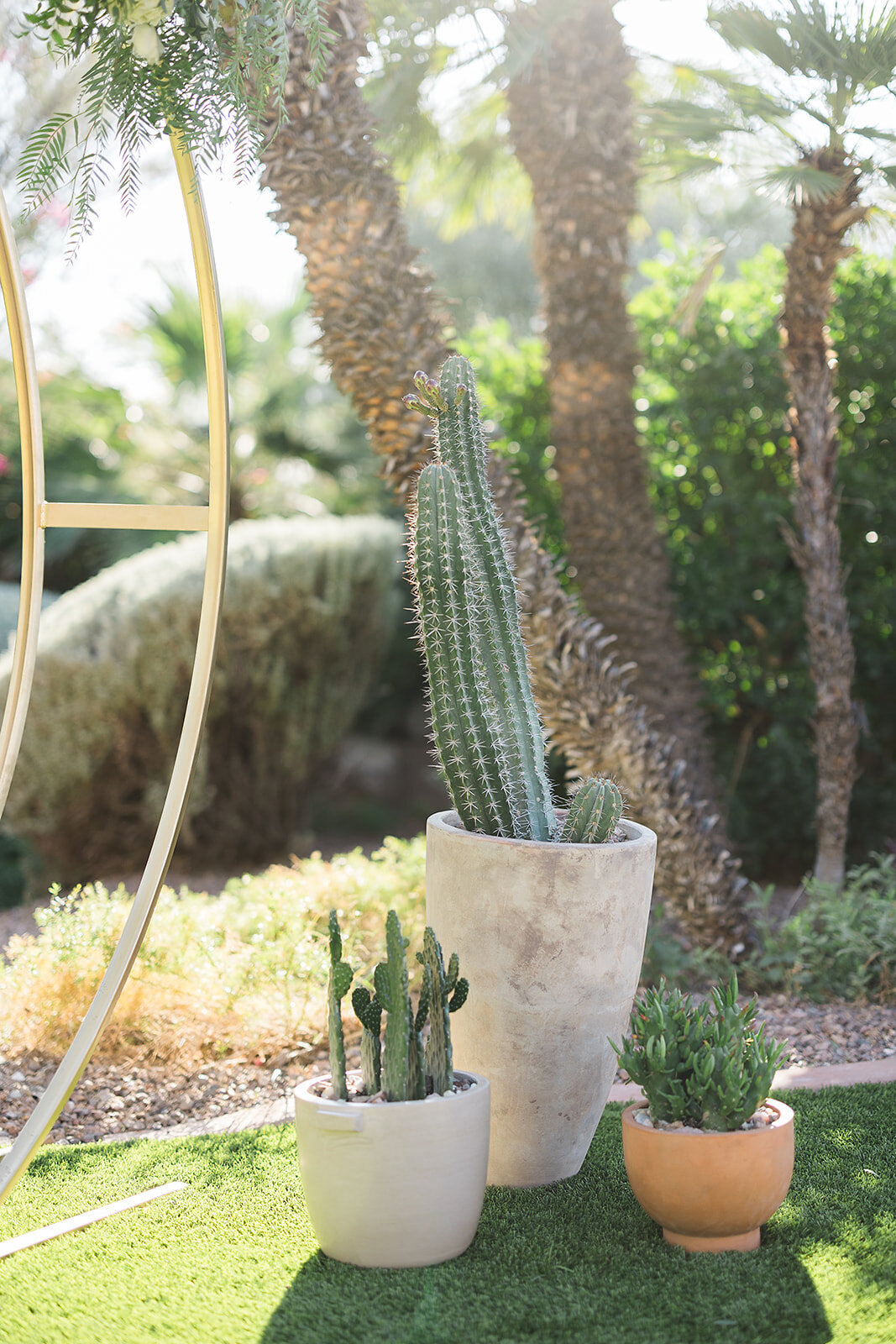 Scottsdale Wedding - Tara Nichole Photo - 2023 - Kenna and Harrison-194