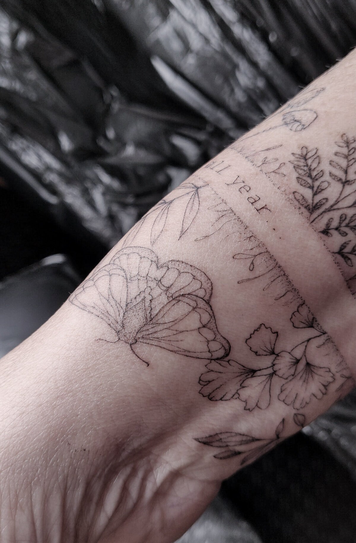 butterfly tattoo, nature tattoo, fine line tattoo, dotwork tattoo