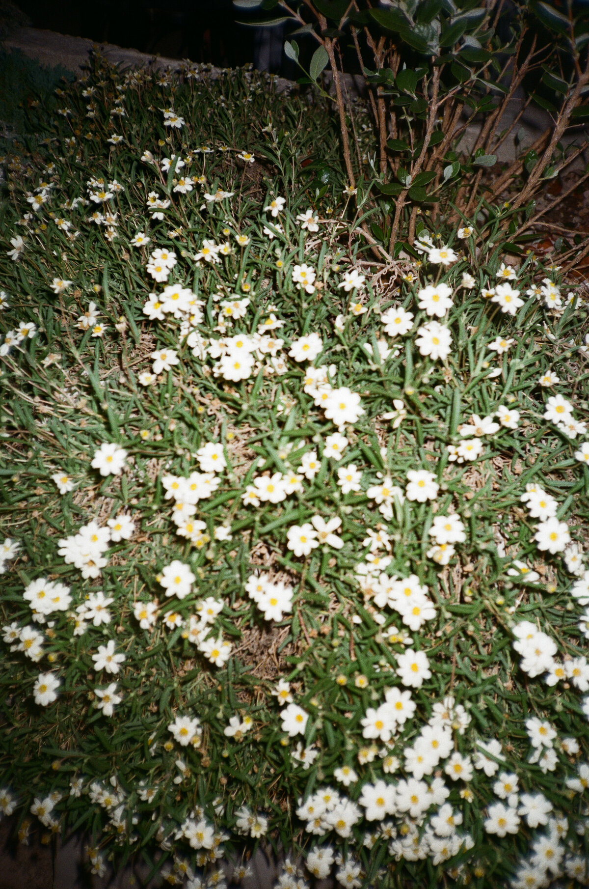 Megan+Baker_Film-7
