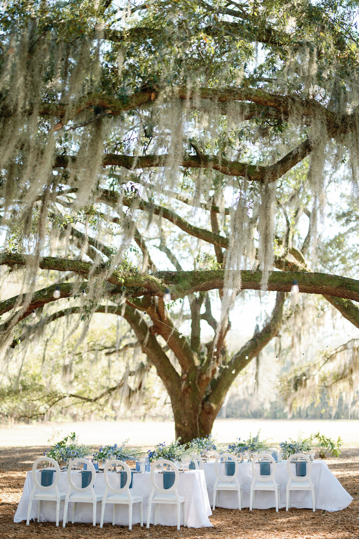 Styled Shoot Across America tour #2 - Hewitt Oaks, Savnnah Georgia - Tampa Florida and Destination Wedding Photographer - Alaina René Photography-68