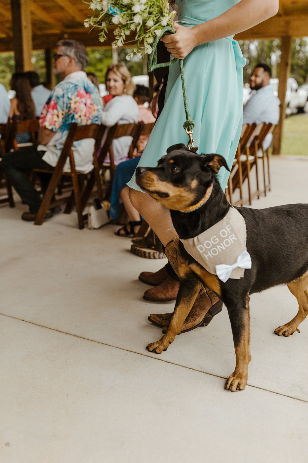 colorado-wedding-photographer-in-soddy-daisy-tennessee-at-mountain-heights-venue-near-nashville-horse-dog-lake-barn-169
