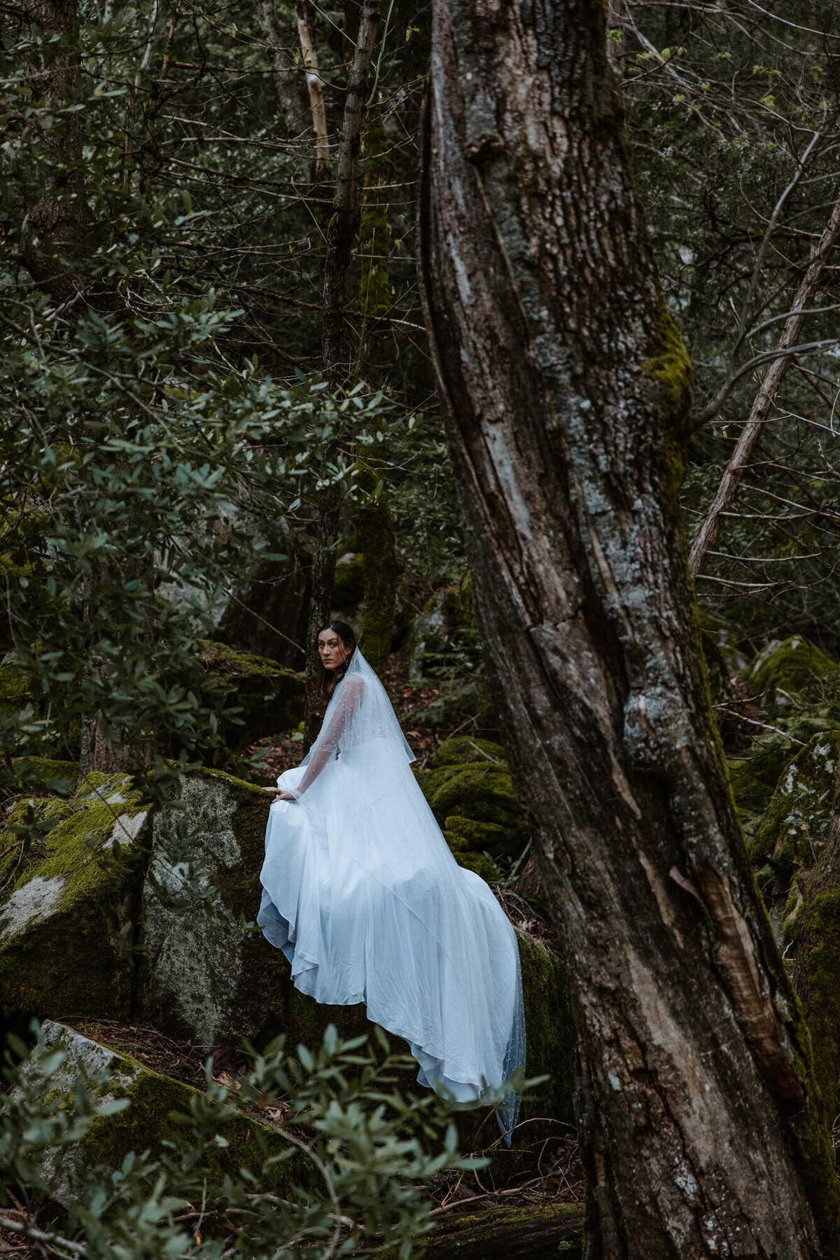 Yosemite Elopement-36