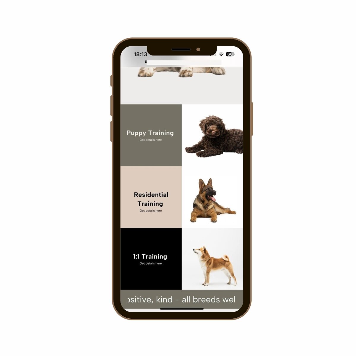 Taylors Dog Training Website concept mobile view