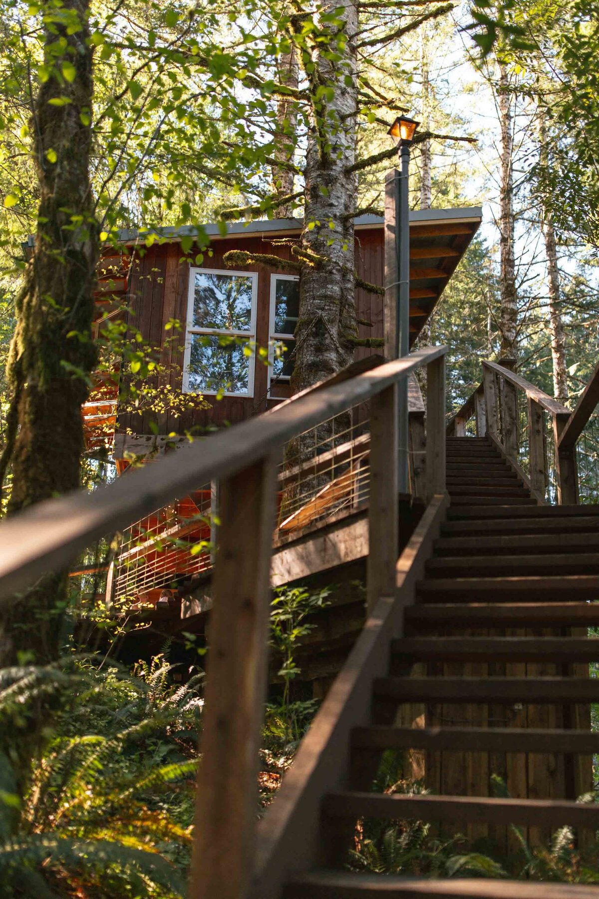 treehouse-elopement-oregon-coast