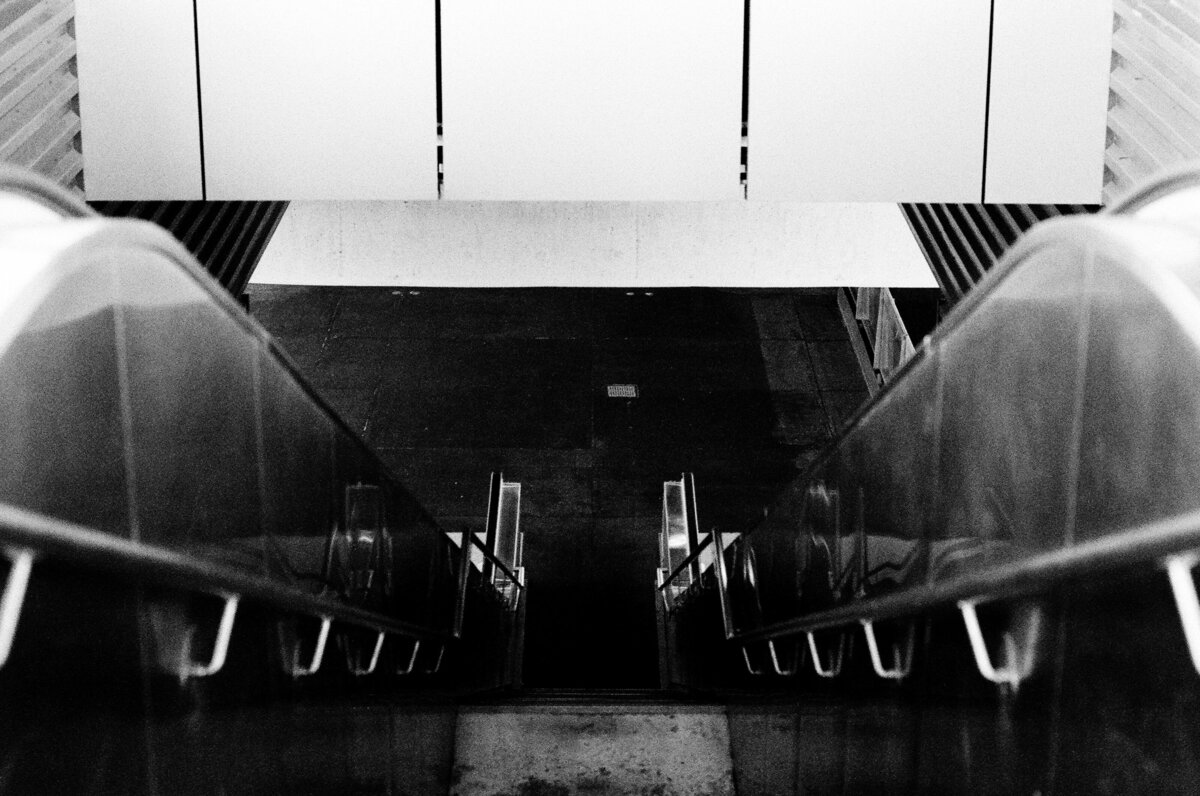 Descent Into Shadows