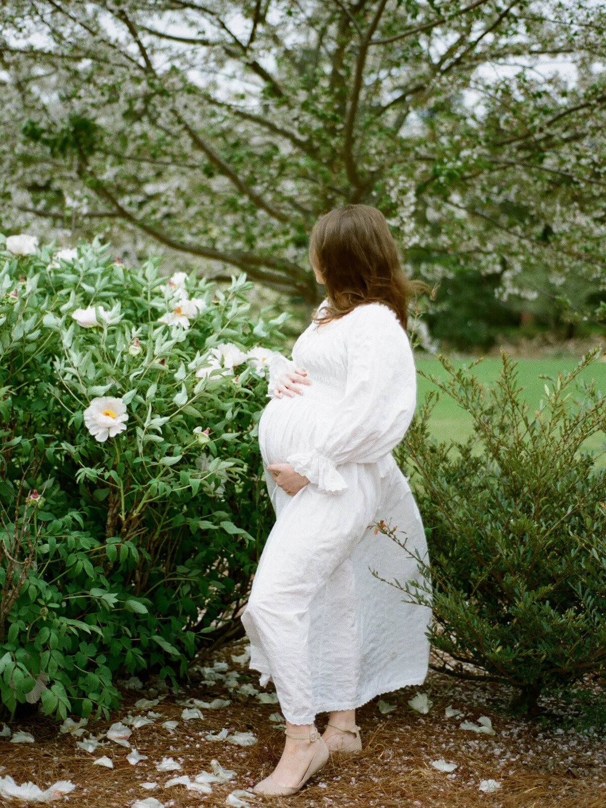 faunaandfilm-94