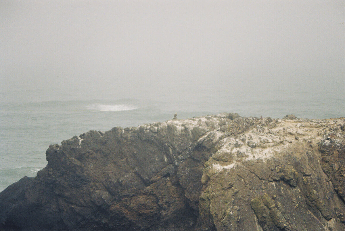 Large rocks at the Oregon coast in the fog. 