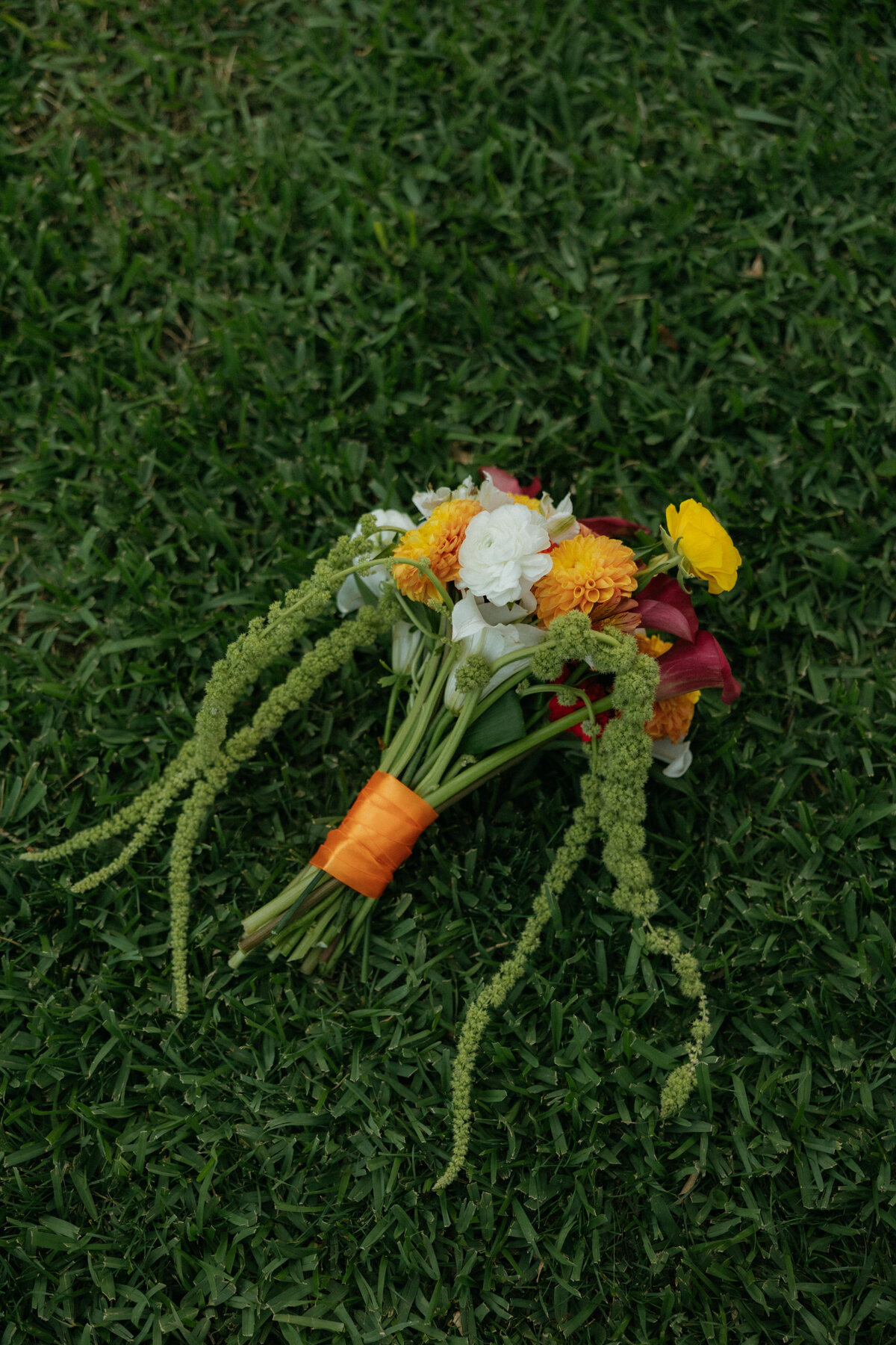 Abby Herron Photography Wedding Portfolio — Rachel and Jacob 21