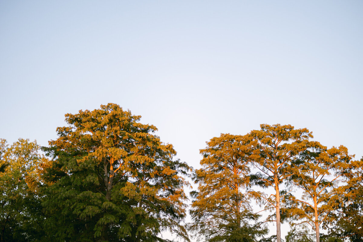 st michaels wedding carter rose-0074