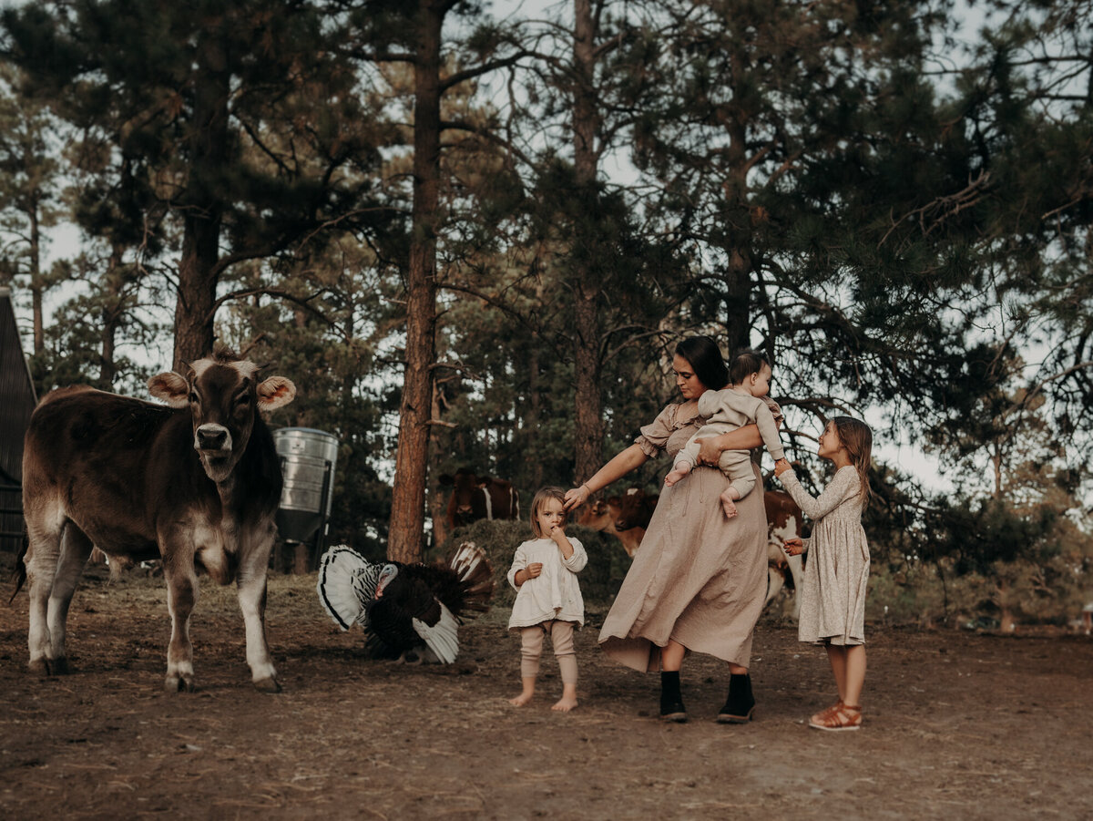 a magical image captured of a large farming family.  The golden hour sun perfectly lights their faces as the gentle breeze creates movement in the mother's mauve colored dress.