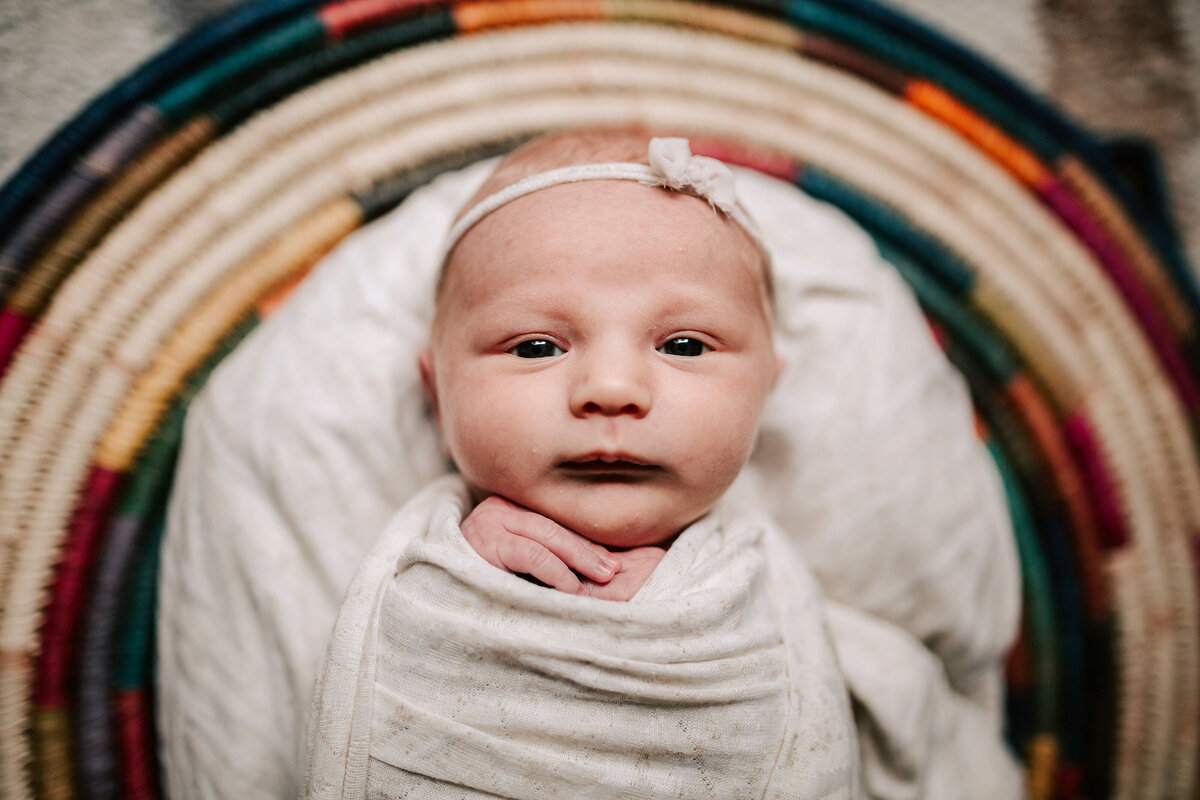 Collingwood Home Newborn Photographer - Katie Lintern (5)