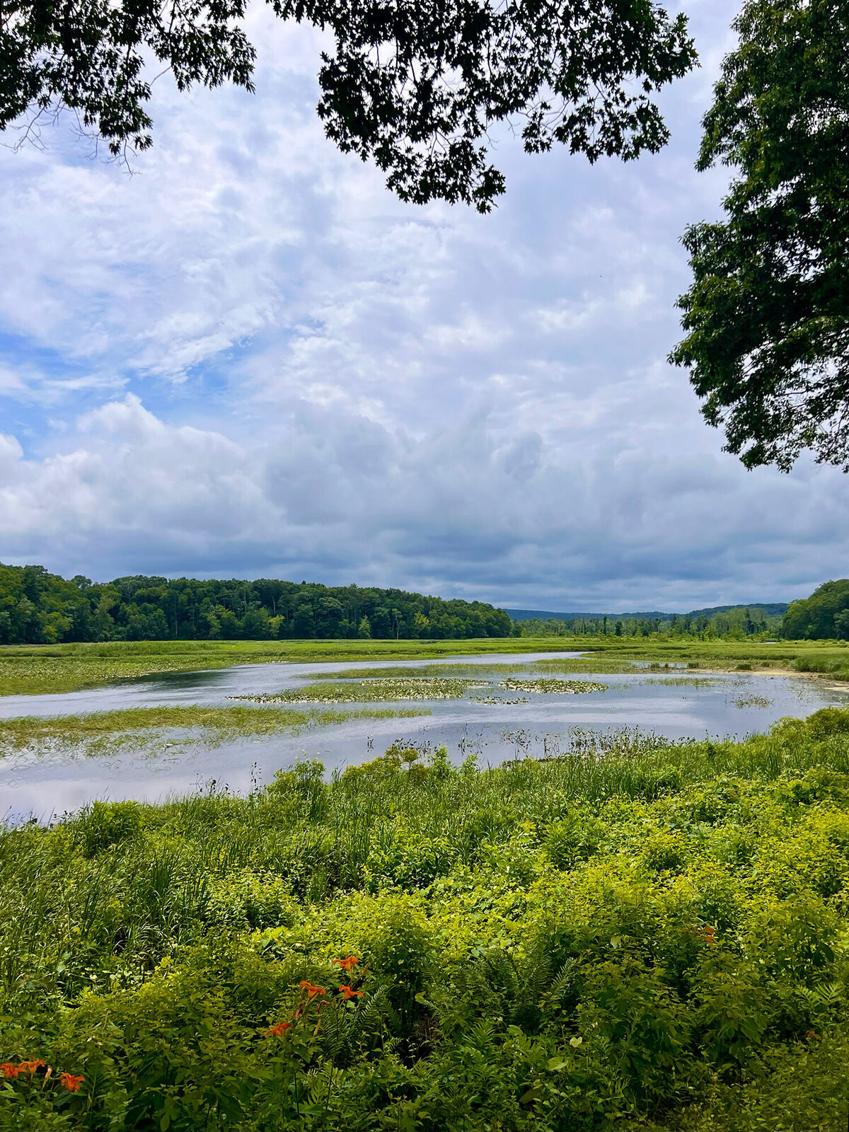 CCC_Estuary_81