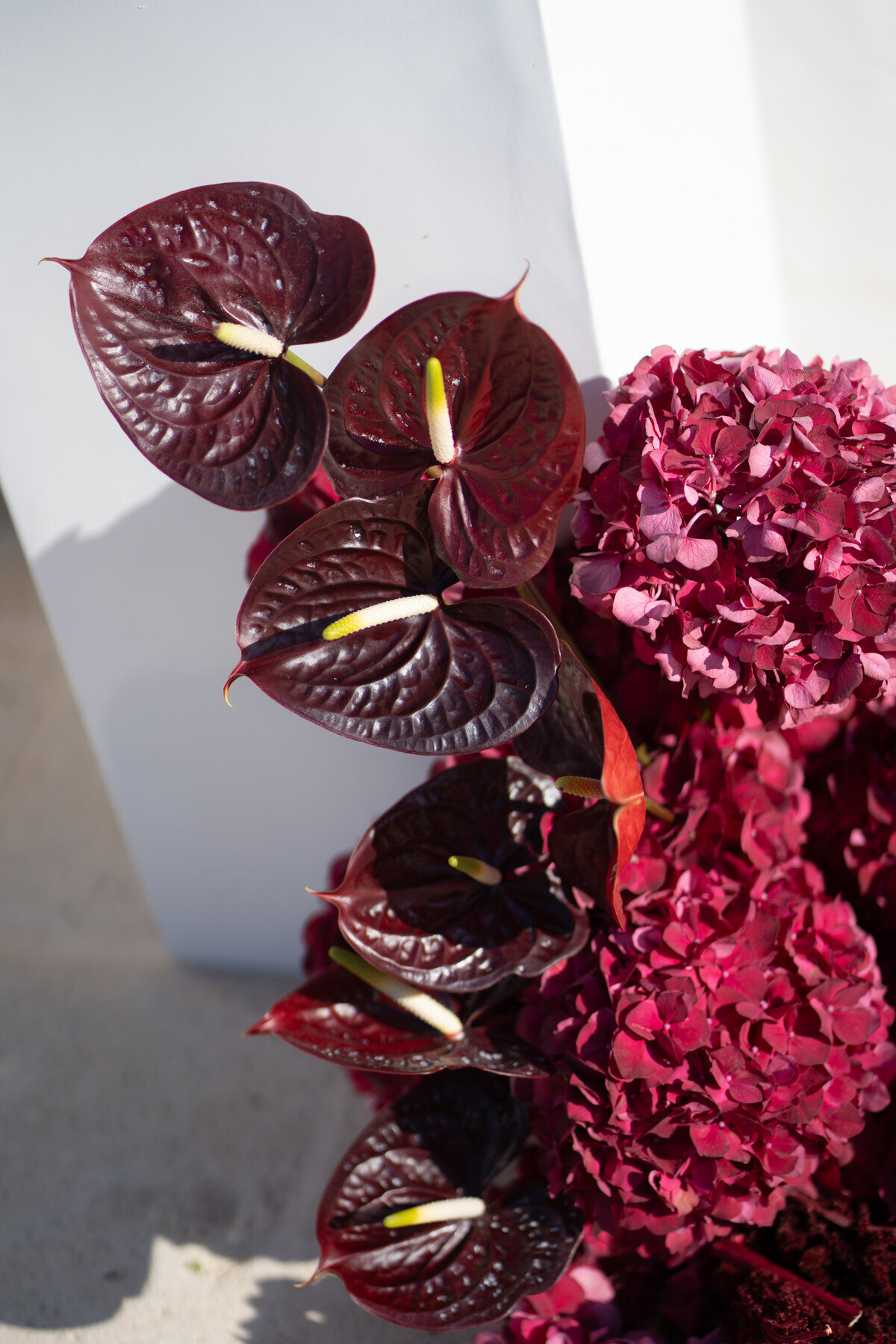 111 - Jesse and Spencer x klassen weddings x Masseria Borgo Ritella_0390