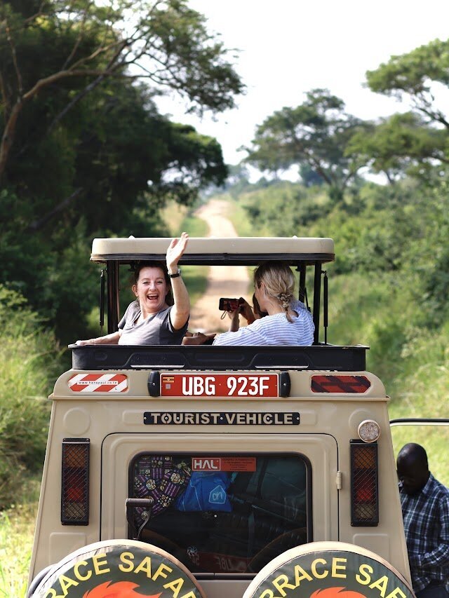 Safari