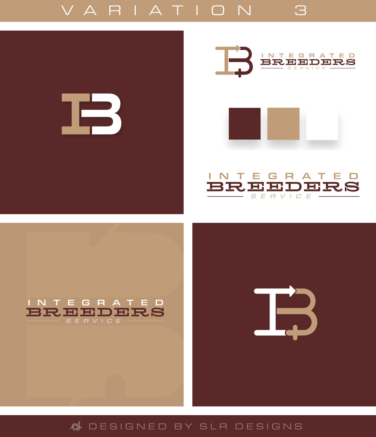 Logo_V3IB(F7)