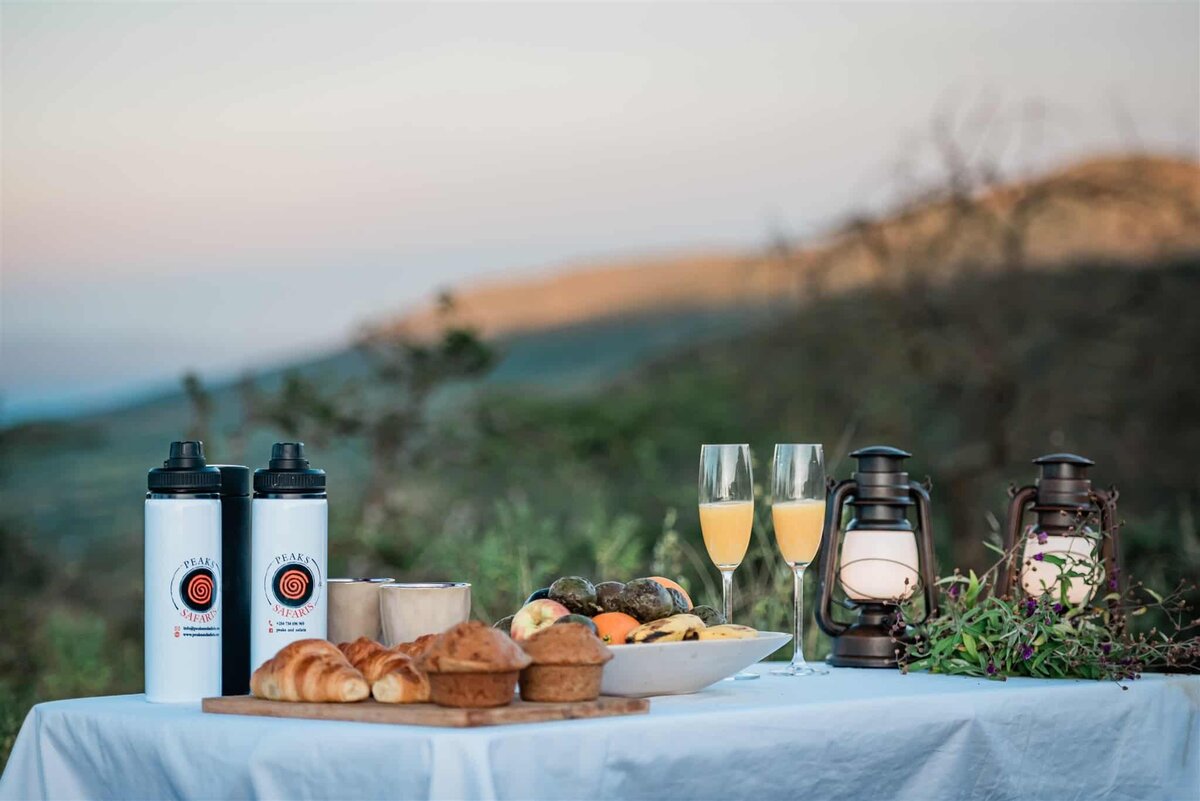 safari-wedding-sundowner-reception-kenya-africa-destination-wedding-Soul-and-Sky-Weddings