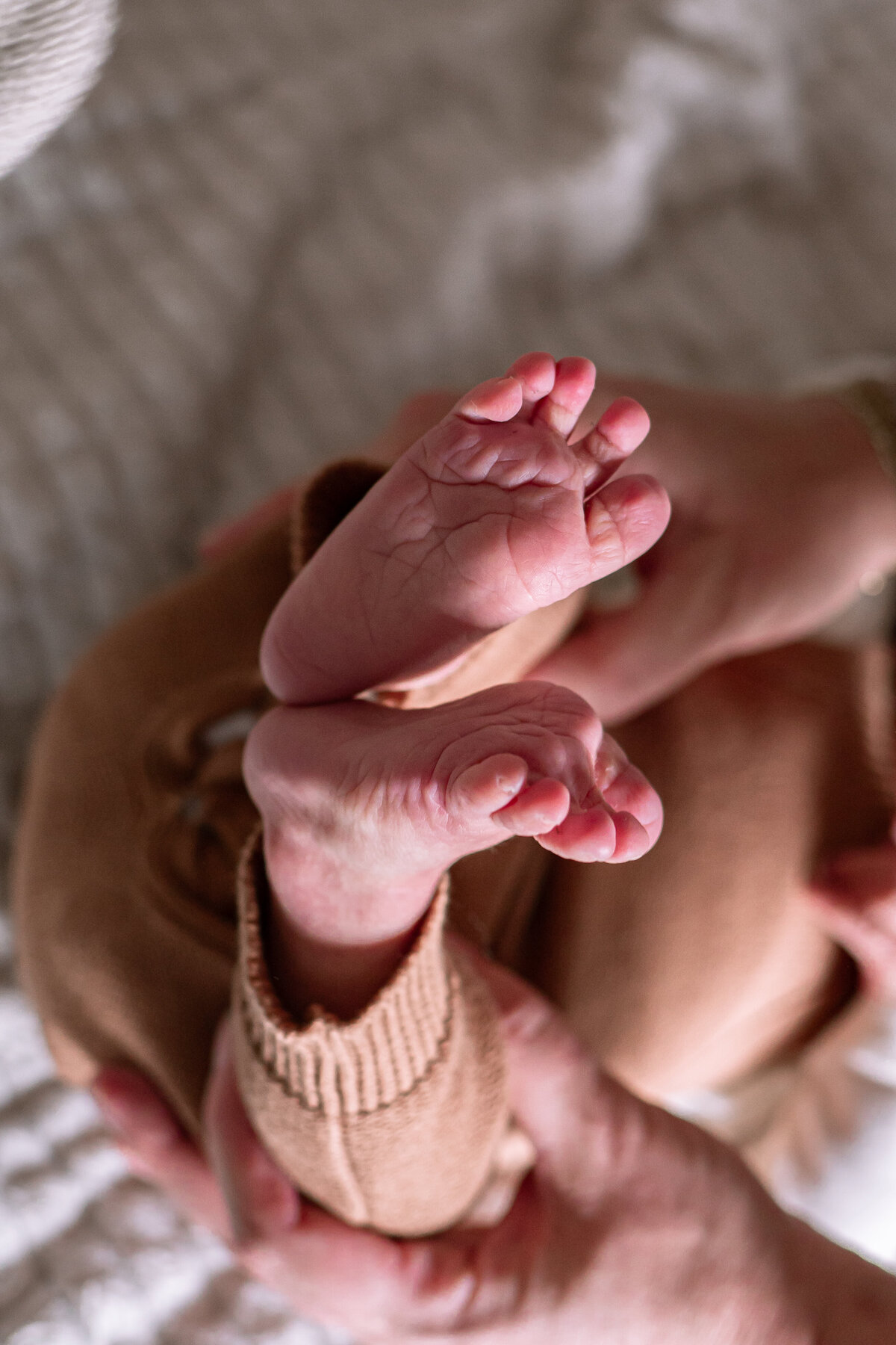 AmbraceFotografie - Jaivy-37