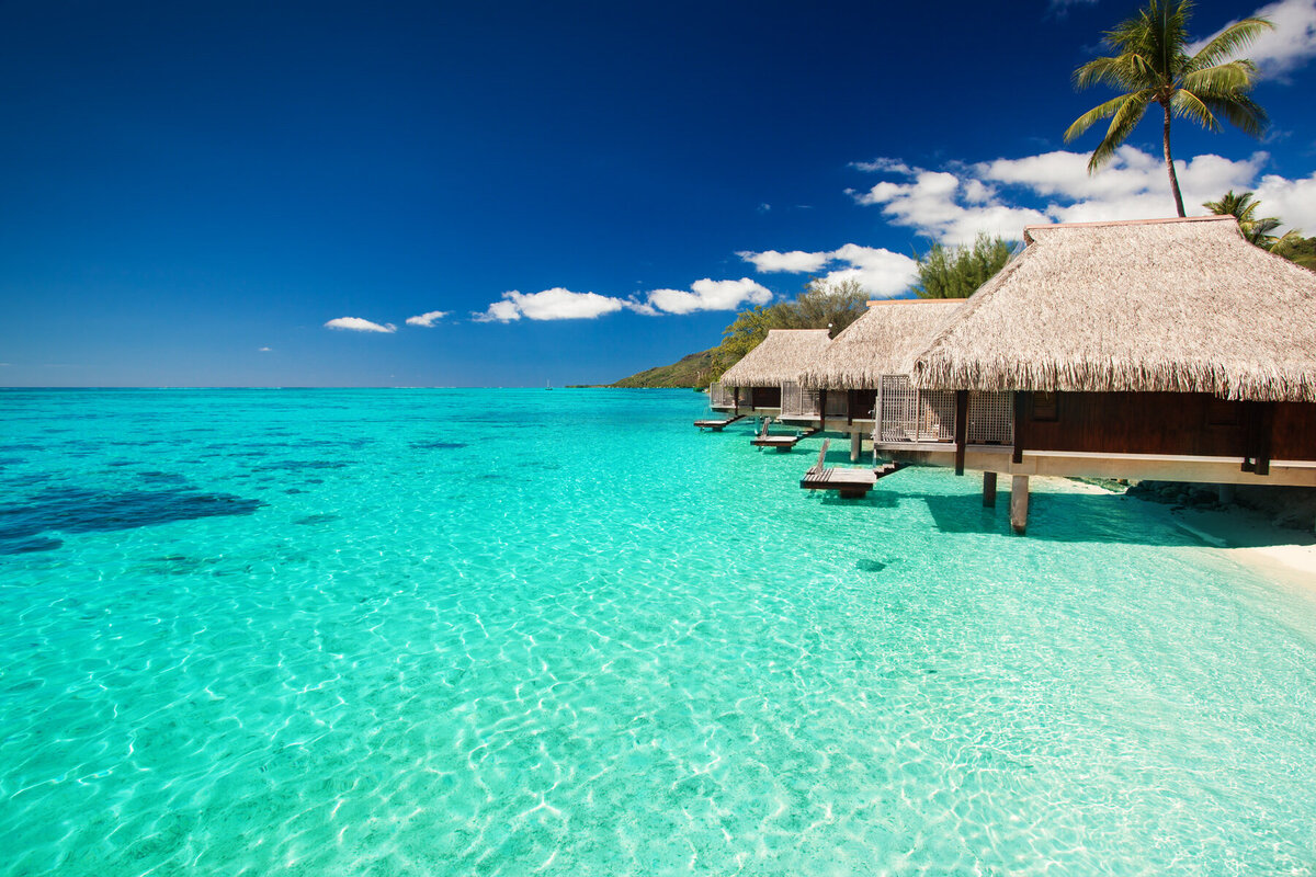 A row of overwater bungalows with thatched roofs extends over clear turquoise water under a bright blue sky. A palm tree stands nearby, and distant hills are visible on the horizon.