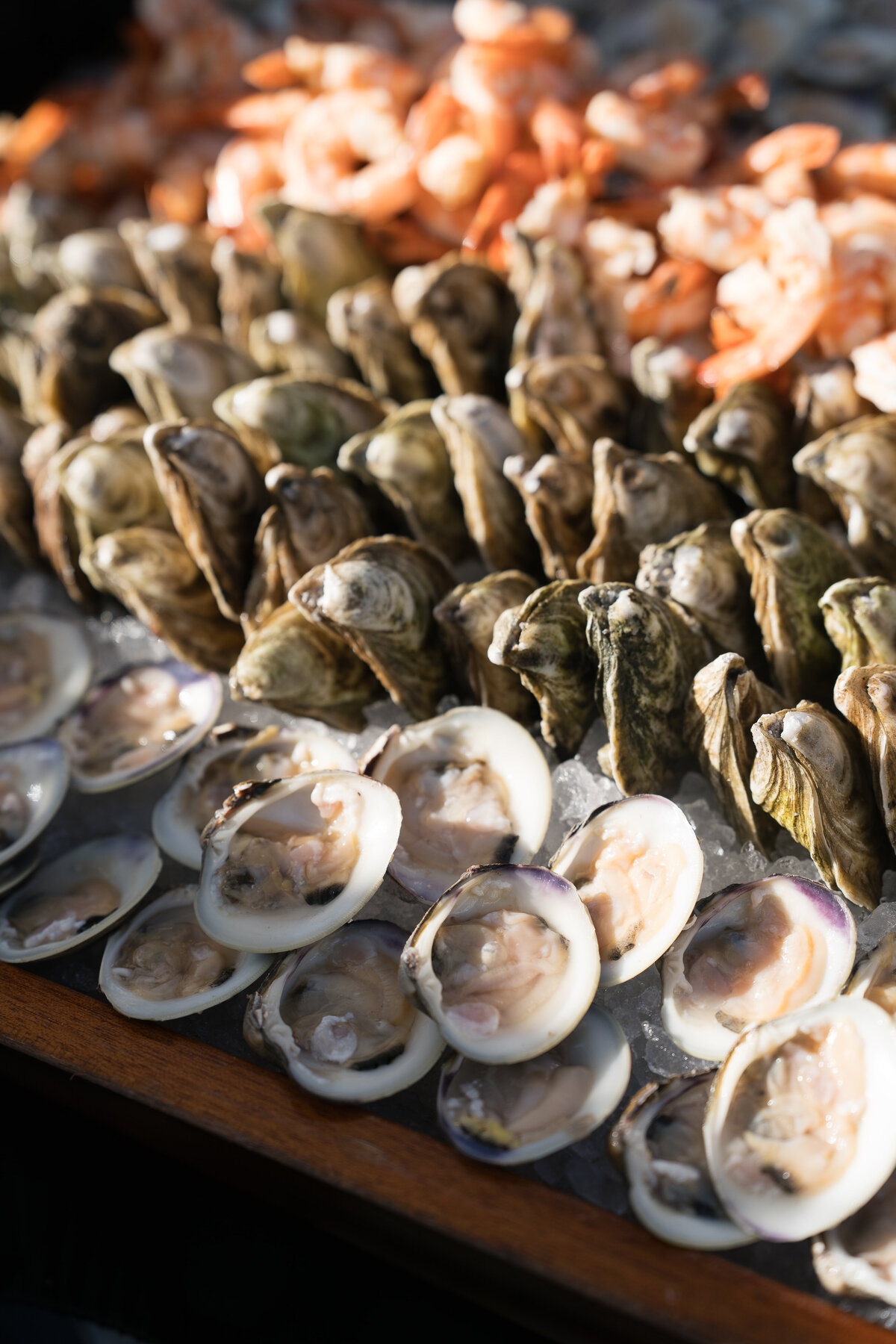 alexis-rex-nantucket-wedding-107