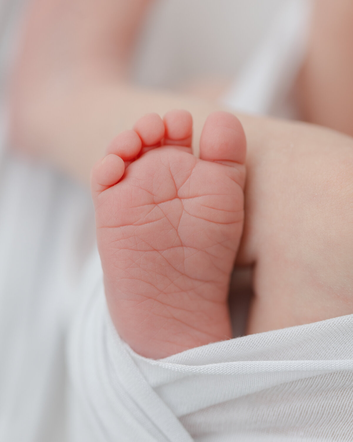 Philadelphia newborn portraits - 5