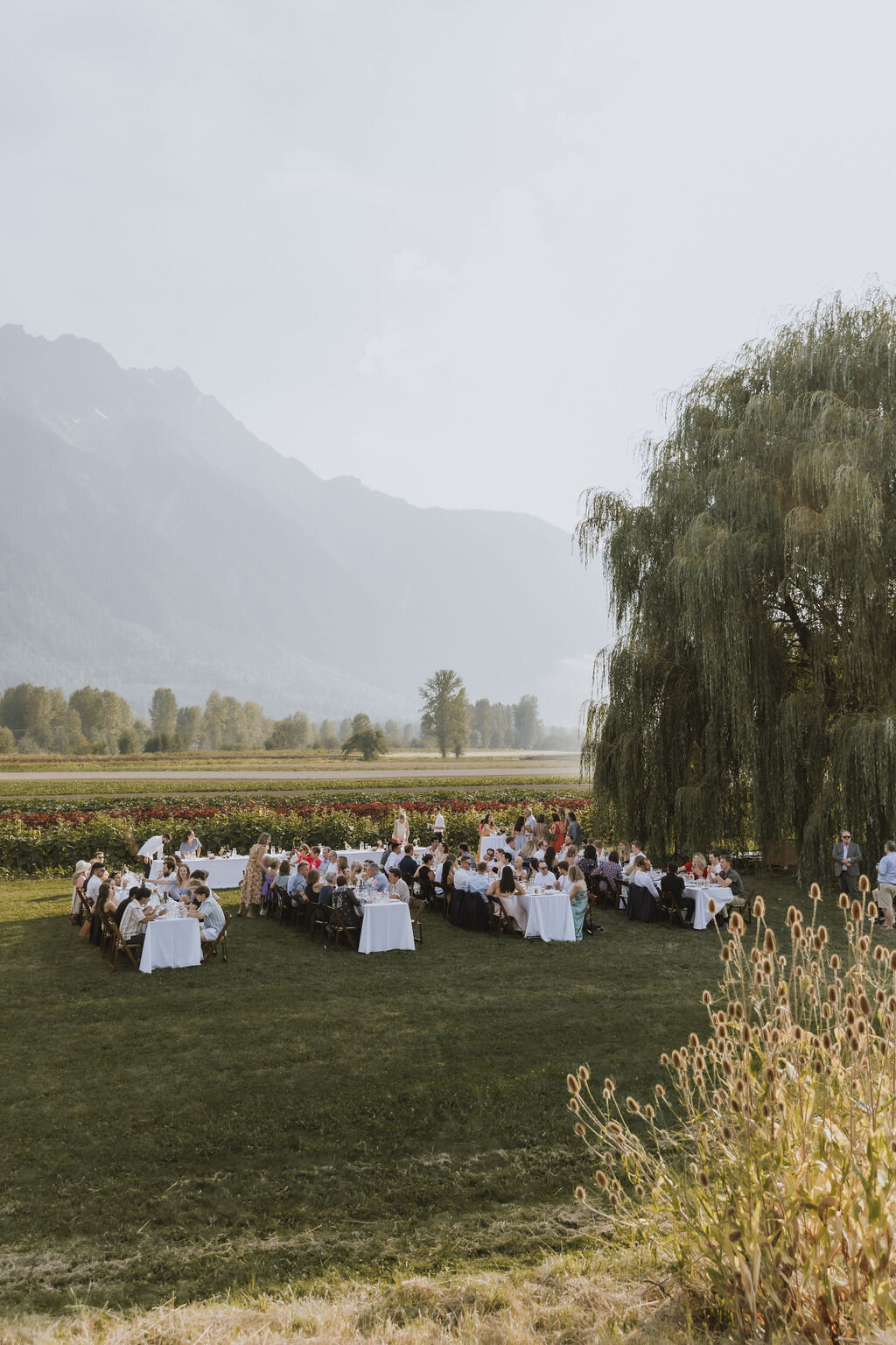 PembertonWedding-FrancesandIan-713